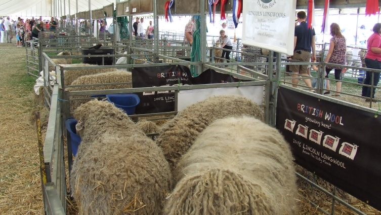 Annual Sale of Lincoln Longwool Sheep