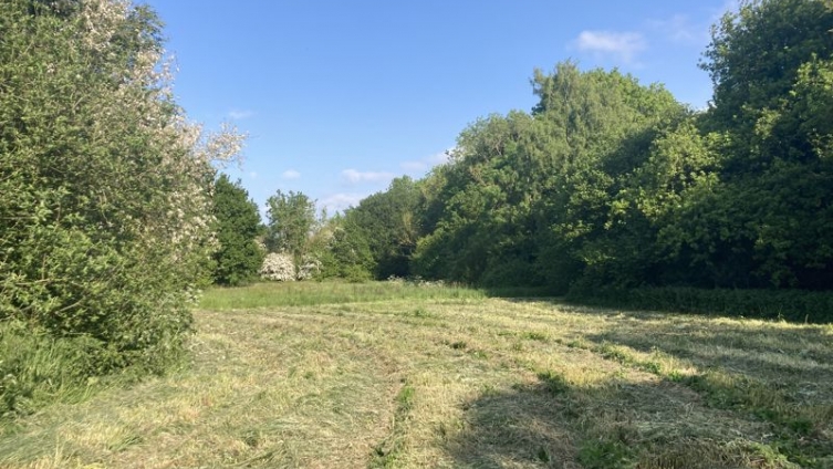 1.5 Acres of Amenity Land at Reddings Wood