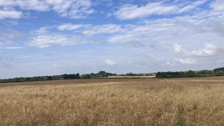 46.97 Acres of Arable Land