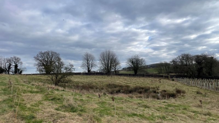 Harts Wood – 10.8 Acres