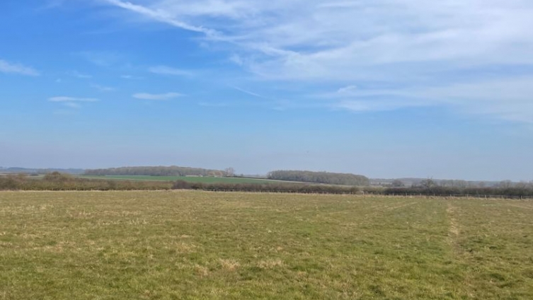 5.1 Acres of Paddock Land