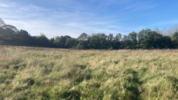 Land, Raithby – approx. 3.66 Acres