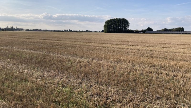 30 Acres Arable Land