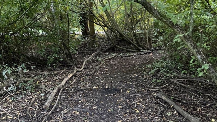 Willow Way- approx 1 acre